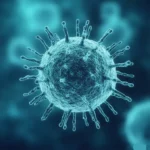 Comment renforcer son système immunitaire naturellement ?