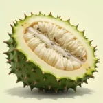 INFECTION CUTANÉE : Comment Guérir Avec le Corossol (Recette Scientifiquement Appuyée)