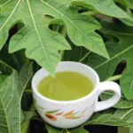Paludisme Grave : La Tisane de Papayer, une Solution Africaine Éprouvée (Sauvons des Vies !)
