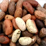 Douleurs Articulaires et Fatigue ? Le Garcinia Kola (Mbita Kola), la Solution Naturelle des Camerounais (Découvrez Ses Secrets !)